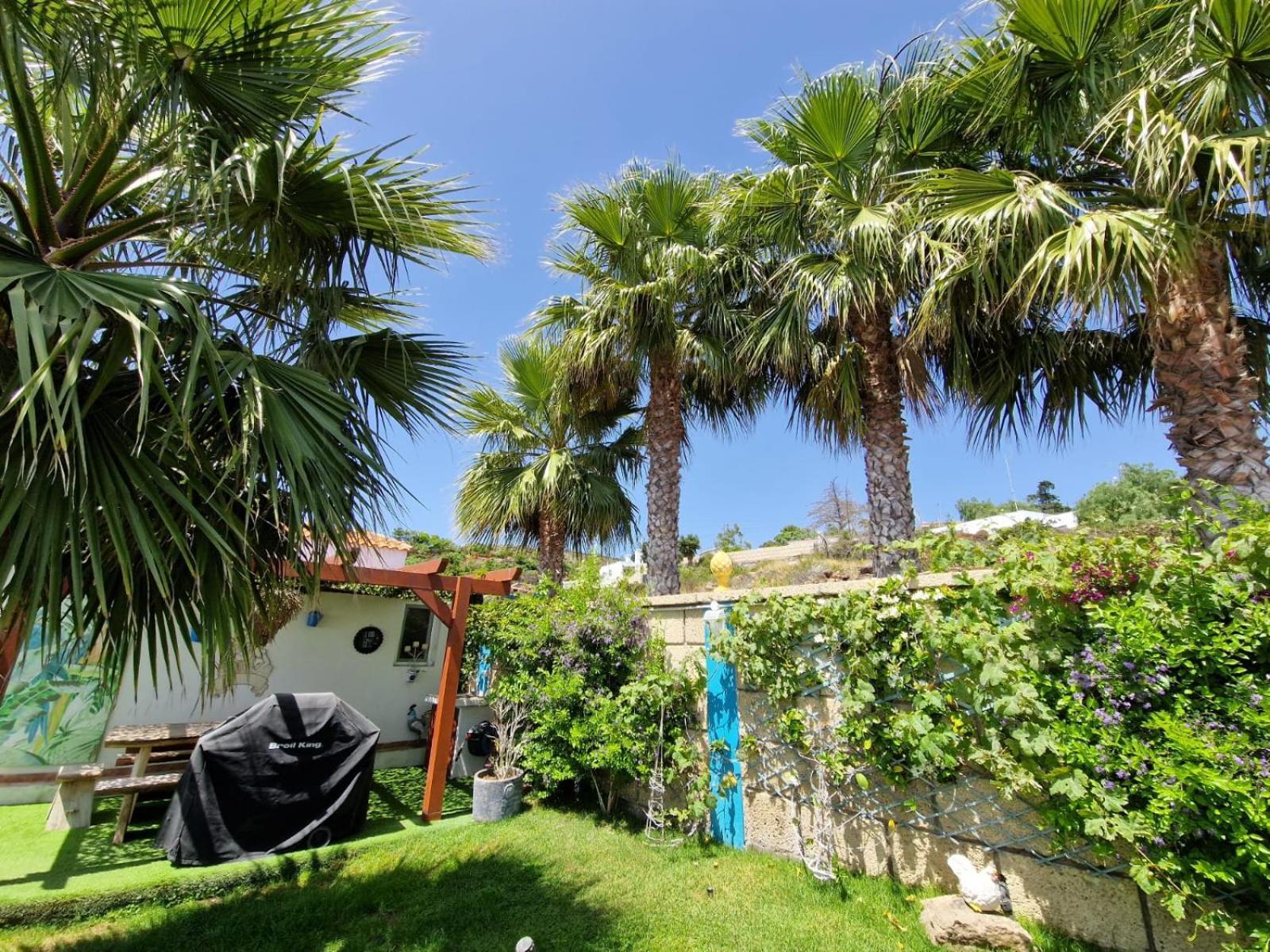 Escape To Finca Conejo, Typical Canarian House Private Jacuzzi, Sauna, Gym, Finca Conejo Taucho By Aqua Vista Tenerife Costa Adeje  Exterior foto